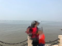 -宝安西湾红树林湿地公园