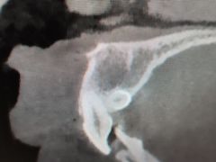 -上海市徐汇区口腔医院