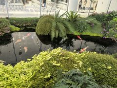 -罗红摄影艺术馆