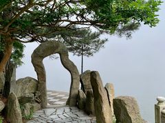 -庐山风景区花径公园