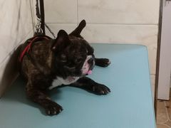 -喵汪宠物生活馆(涞坊路店)