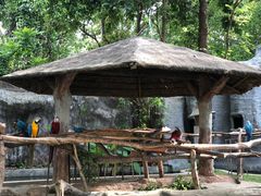 -清迈夜间动物园