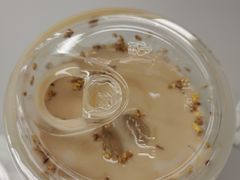 -Seesaw Coffee(武商MALL·武广店)