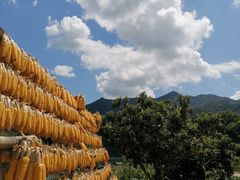 -新安江山水画廊风景区