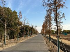 -嘉北郊野公园