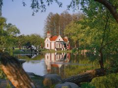 -上海共青森林公园