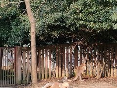 -杭州动物园