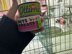 -唐小姐の猫狗洗护·购宠旗舰店(周浦万达店)