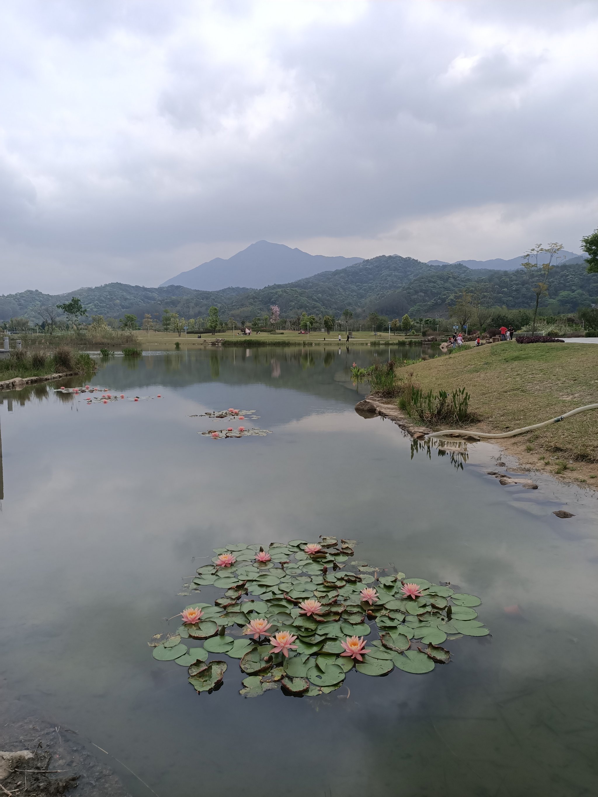 从化流溪河绿道图片