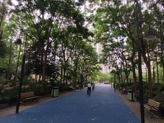 -苏州河梦清园环保主题公园