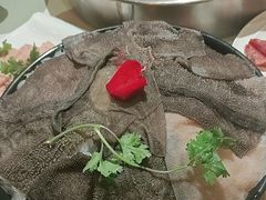 -渝厨生态火锅(合川区府店)