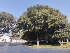 -范蠡湖公园