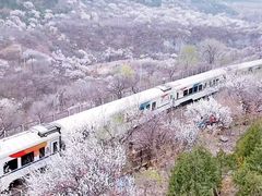 -居庸关长城