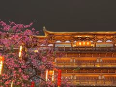-大佛古寺