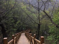 -大岭沟猕猴桃谷风景区