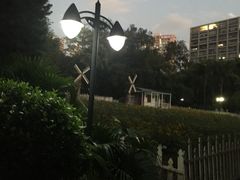 -晓港公园