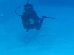 -上海潜殿潜水中心