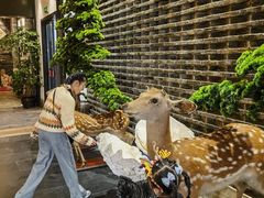 -健眺小海鲜(临海后山店)