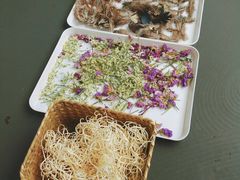 -UCCA Kids 儿童美育