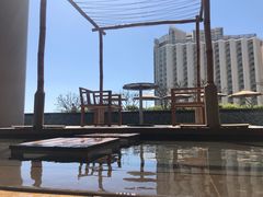 泳池-芽庄喜来登水疗酒店