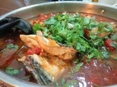 -风鑫铃罗非鱼(道沟店)