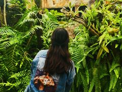 -南通洲际绿博园