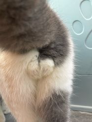 -和木形象