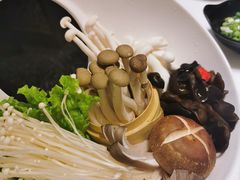 -洪氏嗨捞·猪肚鸡火锅(阳光天地店)