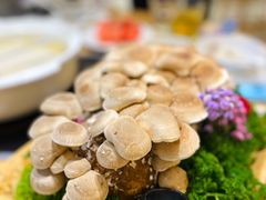 -湯系·煲汤手艺人(东二环泰禾广场店)