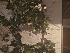 -可口香·非遗老号烧烤(南岗直营店)
