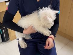 -美联众合动物医院·24h京西诊疗中心