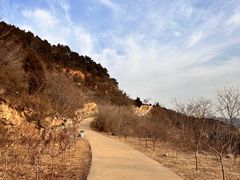 -北京西山国家森林公园