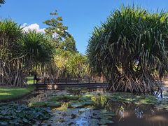 -中国科学院西双版纳热带植物园