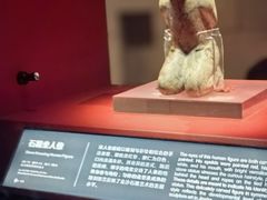 -金沙遗址博物馆