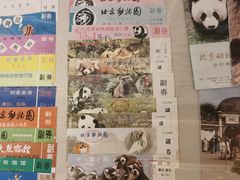 -北京动物园-畅观楼