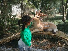 -杭州少年儿童公园