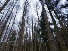 -罗田薄刀峰风景区