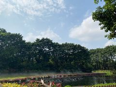 -广州长隆飞鸟乐园