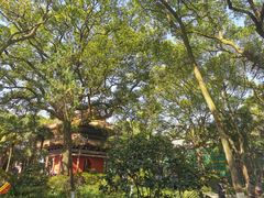 -南岳衡山风景名胜区-南岳大庙