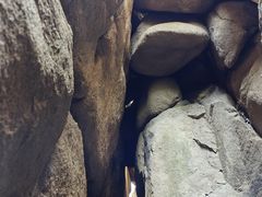 -鲁山国家森林公园