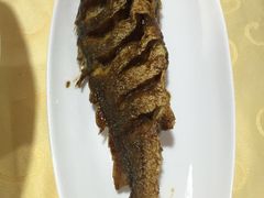 -海岛渔村大酒店(云霄路店)