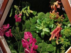 -野渡坡·极致湘菜·庭院餐厅(汉阳店)
