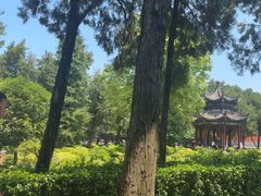 -洛阳白马寺