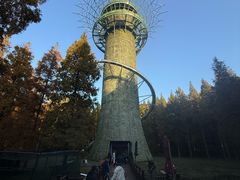 -黄海国家森林公园