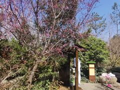 -太白山御龙湾温泉