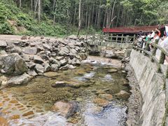 -姑婆山旅游区