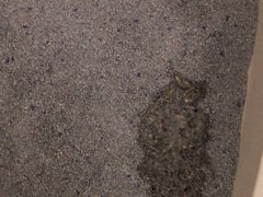 -北京赛佳动物医院