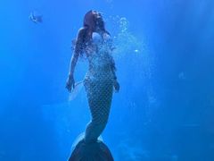 -太平洋海底世界