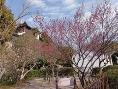 -西山风景区