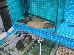 -蘇河湾·新鲁菜·泰山宴(泰山店)